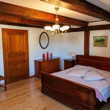 Alsacien Renove Avec Jardin Pres De La Suisse Et De L'allemagne, Ideal Pour Familles Et Amis - Fr-1-744-29