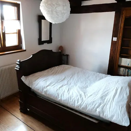 Alsacien Renove Avec Jardin Pres De La Suisse Et De L'allemagne, Ideal Pour Familles Et Amis - Fr-1-744-29 Σπίτι διακοπών *