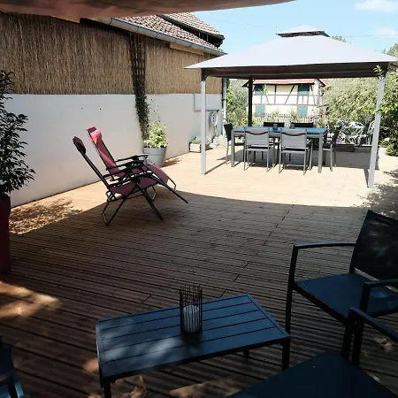 Holiday home Alsacien Renove Avec Jardin Pres De La Suisse Et De L'allemagne, Ideal Pour Familles Et Amis - Fr-1-744-29 *
