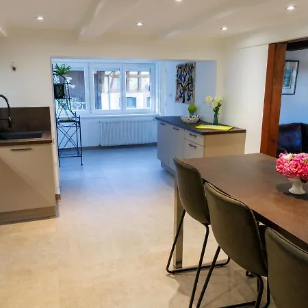 Holiday home Alsacien Renove Avec Jardin Pres De La Suisse Et De L'allemagne, Ideal Pour Familles Et Amis - Fr-1-744-29 *
