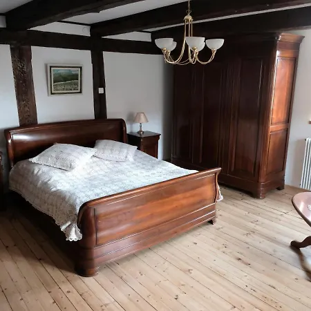 Alsacien Renove Avec Jardin Pres De La Suisse Et De L'allemagne, Ideal Pour Familles Et Amis - Fr-1-744-29