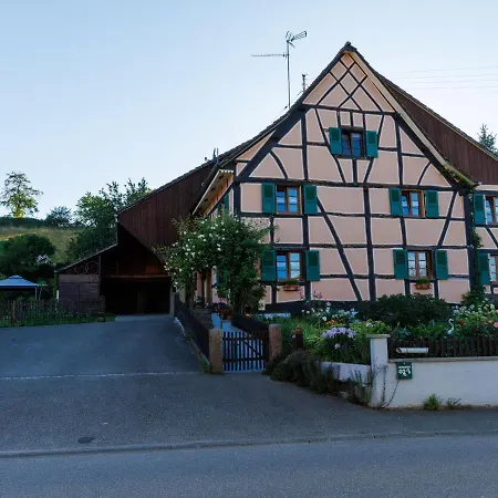 Σπίτι διακοπών Alsacien Renove Avec Jardin Pres De La Suisse Et De L'allemagne, Ideal Pour Familles Et Amis - Fr-1-744-29