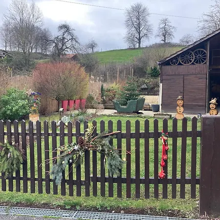 Alsacien Renove Avec Jardin Pres De La Suisse Et De L'allemagne, Ideal Pour Familles Et Amis - Fr-1-744-29 Ueberstrass