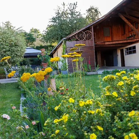 Semesterbostad Alsacien Renove Avec Jardin Pres De La Suisse Et De L'allemagne, Ideal Pour Familles Et Amis - Fr-1-744-29 Ueberstrass