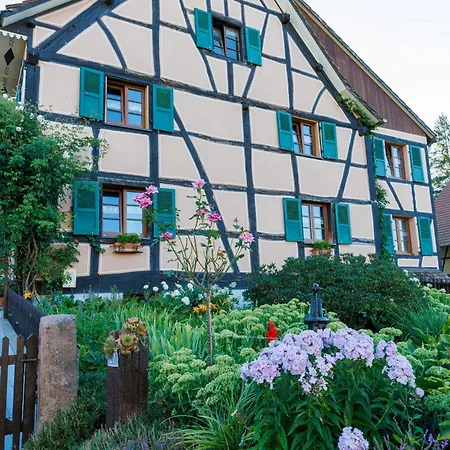 Alsacien Renove Avec Jardin Pres De La Suisse Et De L'allemagne, Ideal Pour Familles Et Amis - Fr-1-744-29