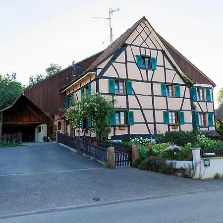 Alsacien Renove Avec Jardin Pres De La Suisse Et De L'allemagne, Ideal Pour Familles Et Amis - Fr-1-744-29 * Ueberstrass