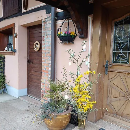 Alsacien Renove Avec Jardin Pres De La Suisse Et De L'allemagne, Ideal Pour Familles Et Amis - Fr-1-744-29 Ueberstrass