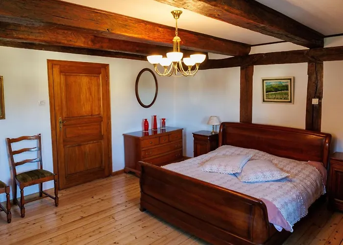 Alsacien Renove Avec Jardin Pres De La Suisse Et De L'allemagne, Ideal Pour Familles Et Amis - Fr-1-744-29