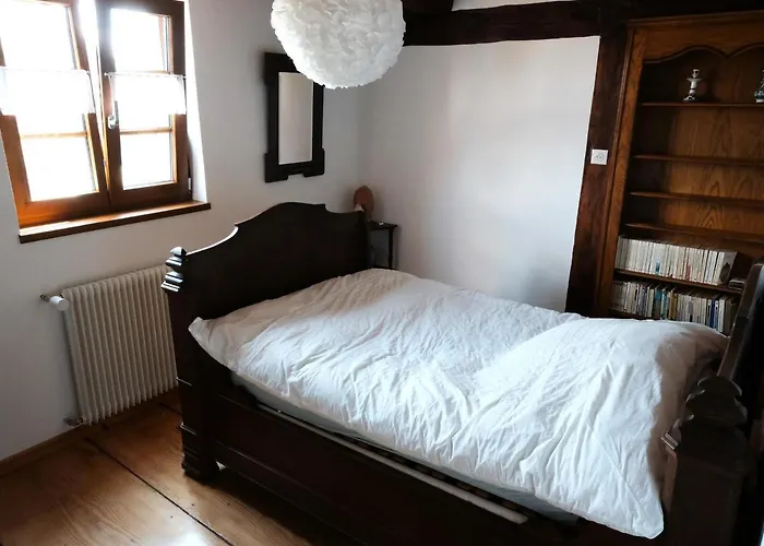 Alsacien Renove Avec Jardin Pres De La Suisse Et De L'allemagne, Ideal Pour Familles Et Amis - Fr-1-744-29 Tatil Evi *