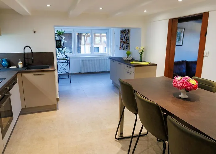 Tatil Evi Alsacien Renove Avec Jardin Pres De La Suisse Et De L'allemagne, Ideal Pour Familles Et Amis - Fr-1-744-29 *