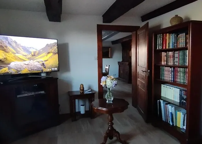 Alsacien Renove Avec Jardin Pres De La Suisse Et De L'allemagne, Ideal Pour Familles Et Amis - Fr-1-744-29