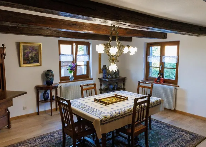 Tatil Evi Alsacien Renove Avec Jardin Pres De La Suisse Et De L'allemagne, Ideal Pour Familles Et Amis - Fr-1-744-29