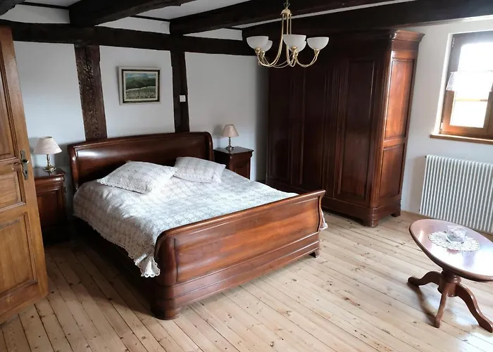 Alsacien Renove Avec Jardin Pres De La Suisse Et De L'allemagne, Ideal Pour Familles Et Amis - Fr-1-744-29