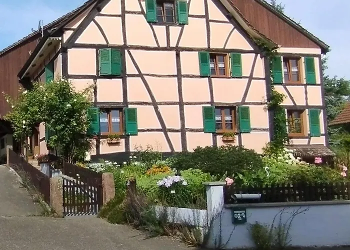 Tatil Evi Alsacien Renove Avec Jardin Pres De La Suisse Et De L'allemagne, Ideal Pour Familles Et Amis - Fr-1-744-29 Ueberstrass