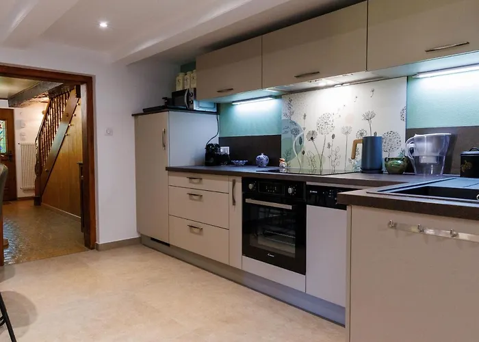 Alsacien Renove Avec Jardin Pres De La Suisse Et De L'allemagne, Ideal Pour Familles Et Amis - Fr-1-744-29 * Ueberstrass