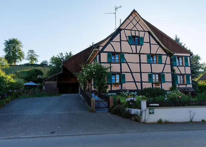 Tatil Evi Alsacien Renove Avec Jardin Pres De La Suisse Et De L'allemagne, Ideal Pour Familles Et Amis - Fr-1-744-29