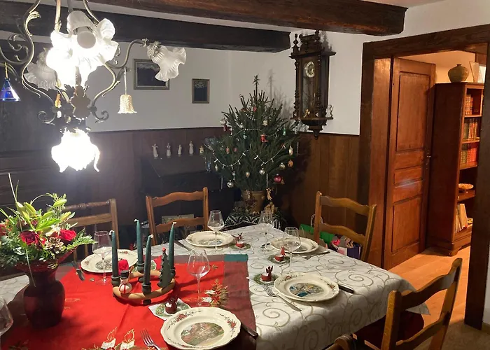 Tatil Evi Alsacien Renove Avec Jardin Pres De La Suisse Et De L'allemagne, Ideal Pour Familles Et Amis - Fr-1-744-29 *