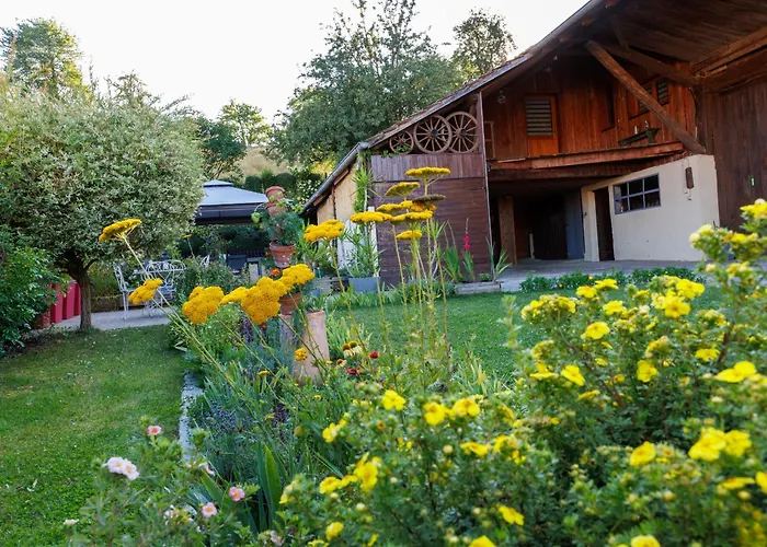 Tatil Evi Alsacien Renove Avec Jardin Pres De La Suisse Et De L'allemagne, Ideal Pour Familles Et Amis - Fr-1-744-29 Ueberstrass
