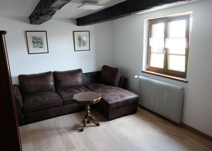 Tatil Evi Alsacien Renove Avec Jardin Pres De La Suisse Et De L'allemagne, Ideal Pour Familles Et Amis - Fr-1-744-29 Ueberstrass