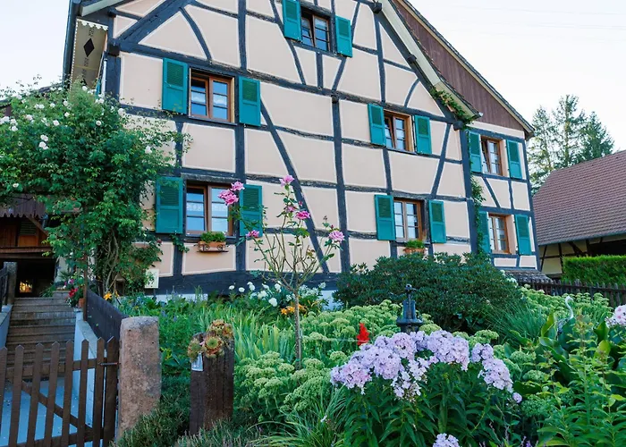 Alsacien Renove Avec Jardin Pres De La Suisse Et De L'allemagne, Ideal Pour Familles Et Amis - Fr-1-744-29