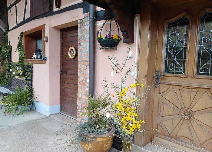 Alsacien Renove Avec Jardin Pres De La Suisse Et De L'allemagne, Ideal Pour Familles Et Amis - Fr-1-744-29 Ueberstrass