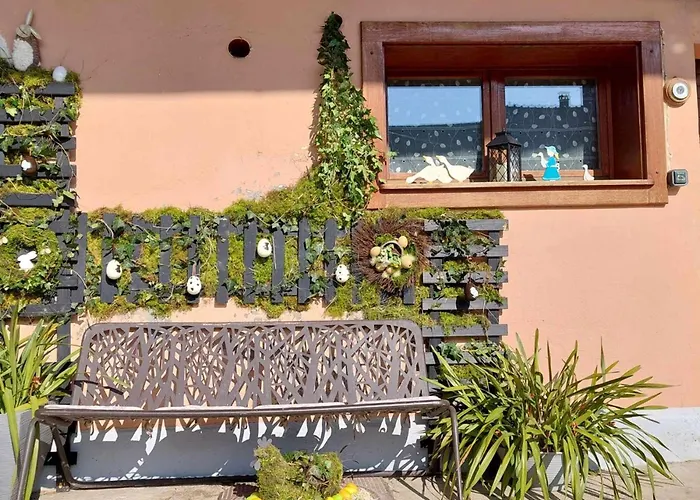 Alsacien Renove Avec Jardin Pres De La Suisse Et De L'allemagne, Ideal Pour Familles Et Amis - Fr-1-744-29 Ueberstrass