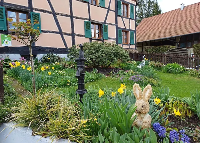 Alsacien Renove Avec Jardin Pres De La Suisse Et De L'allemagne, Ideal Pour Familles Et Amis - Fr-1-744-29 Tatil Evi *